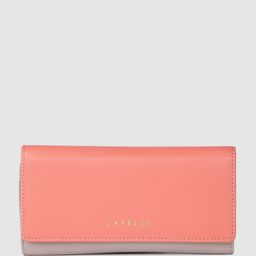 Caprese Women Colourblocked Two Fold Wallet-image-37