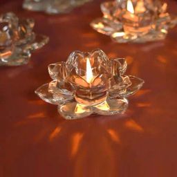 Nestasia Lotus Glass Tea Light Holder - Set of 6 (Transparent)-111