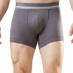 Park Avenue Grey Cotton Blend Regular Fit Solid Trunks-picture-20