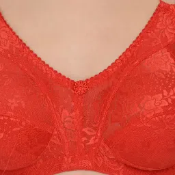 Mod & Shy Red Non Wired Non Padded Minimizer Bra image 4