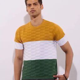 Hoversoul Multi Cotton Regular Fit Color Block Short Sleeves Round Neck T-Shirt-15