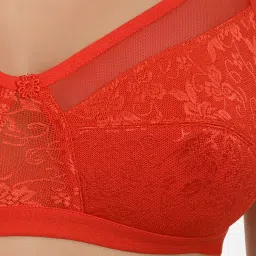 Mod & Shy Red Non Wired Non Padded Minimizer Bra image 4