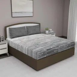 GM Grey 100% Cotton 180 TC Queen Bedsheet Set-image-82
