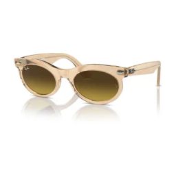 Ray-Ban Evolution Brown UV Protection Unisex Sunglasses-image-44