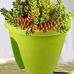 go hooked Railing Planter Hanging Pots for Plant image 2