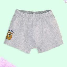 Kiddopanti Boys Multi Colored Regular Printed Boxers - Pack of 5 image 2