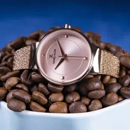 Daniel Klein DK12046-2 Analog Watch for Women-image-44