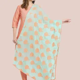 Dupatta Bazaar Sea Green Embroidered Dupatta-picture-14