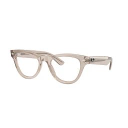 Ray-Ban Evolution Brown Cat Eye Eye Frames for Women-25
