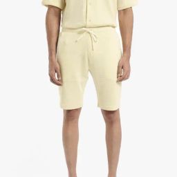 Rare Rabbit Yellow Regular Fit Stripes Shorts-picture-25