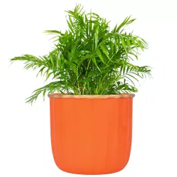 ORILEY Metal Flower Pot Heavy Duty Planter 11 x 12 cm Orange-image-73