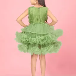 BAESD Net A-Line Dress image 5