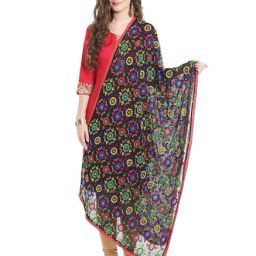 Dupatta Bazaar Multicolored Dupatta-23