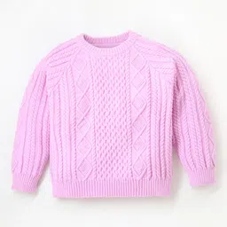 cherry crumble by nitt hyman Cherry Crumble Full Sleeves Woven Design Detailed Sweater - Lavender-picture-15