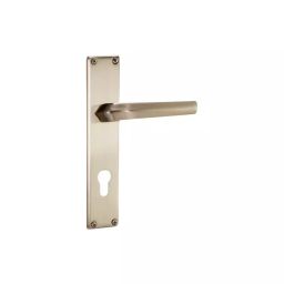 Godrej Door Handle Set 2C NEH 20 Satin Steel, 2947-picture-30