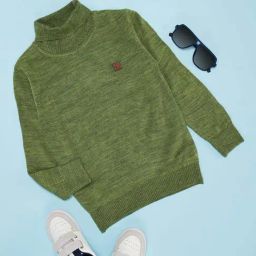Pantaloons Junior Boys Forest Shade Self Full Sleeves Sweaters & Cardigans-picture-13