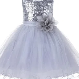 Wish little Net A-Line Dress image 3