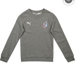 Puma Full Sleeves NEYMAR JR CREATIVITY Crew Sweat Jr - Grey-image-33