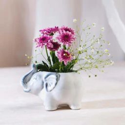 Fabindia Jeevi White & Blue Ceramic Planter - Set of 1-image-64