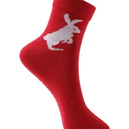 United Colors of Benetton Red Regular Fit Solid Socks-image-32