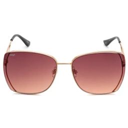 Image Dark Brown Butterfly UV Protection Sunglasses for Women-picture-26