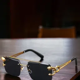 RICH CLUB Unisex Other Sunglasses with UV Protected Lens-picture-27