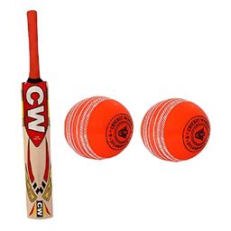 CW Smasher Kashmir Willow Cricket Bat-image-34