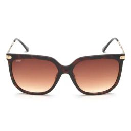 Image Brown Butterfly UV Protection Sunglasses for Women-image-30