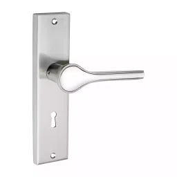 DiSS MH-Garnet 2.5 Inch ‎Brass and Iron SS Finish Door Handle Set-image-91