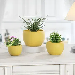 Homspurts Apple Bowl Planter Yellow 3 Pieces Metal Planters-image-22