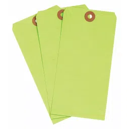 BRADY Plain 30 Points Fluorescent Green Blank Shipping Tag, 35RZ48 (Pack of 1000)-image-13