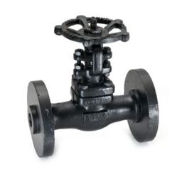 Sant 40 mm Forged Steel Gate Valve FSV 11-image-53