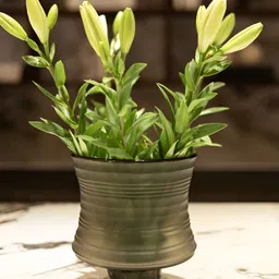 curiocasa Lave Green Glossy Glass Flower Vase-image-5
