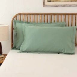House This Sage Green Cotton 600 TC Pillows - Set of 2-41