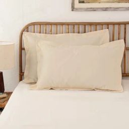 House This Sesame Off-White Cotton 600 TC Pillows - Set of 2-image-52