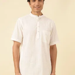 Fabindia Striped Mandarin Collar Straight Short Kurta-30