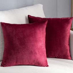 AAZEEM Red 2 Pieces Velvet Square Cushion Covers-image-8
