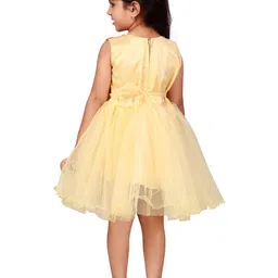 BAESD Net Fit & Flare Dress image 5