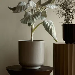 H&M Beige Large Metal Plant Pot-picture-9