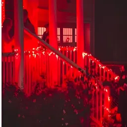 KAVYARA Red Rice Shape String Light image 4