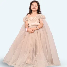 Modish Net Fit & Flare Maxi Dress-13