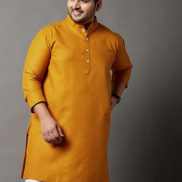 Men Solid Cotton Blend Straight Kurta-image-11