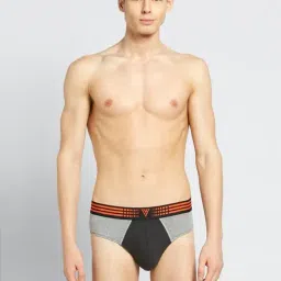 Van Heusen Regular Fit Anti Bacterial Colour Fresh Solid Briefs - Anthra Melange W Grey Melange-picture-34