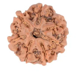 RAVIOUR LIFESTYLE Pendant-picture-39