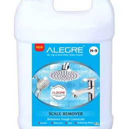ALEGRE 5 Ltr Can Scale Remover-image-91