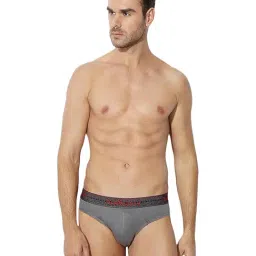 Van Heusen Grey Cotton Briefs-image-29