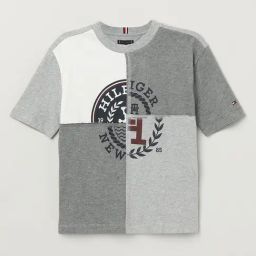 Tommy Hilfiger Boys Grey Cotton Colorblock T-Shirt-image-9