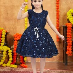 Aarika Girls Navy Embroidered Frock-image-32