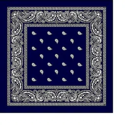Navkar Crafts Unisex Blue Paisley Cotton Bandanas-picture-18