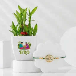 Wishing Tree Rakhi With 2 Layered Bamboo Plant-image-73